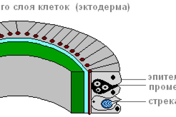 Актуальные ссылки на кракен тор