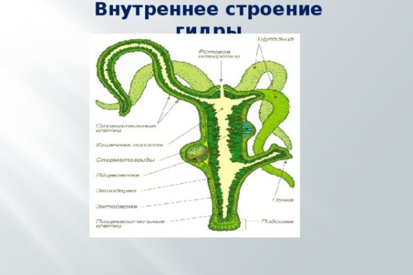Запрещенный сайт кракен