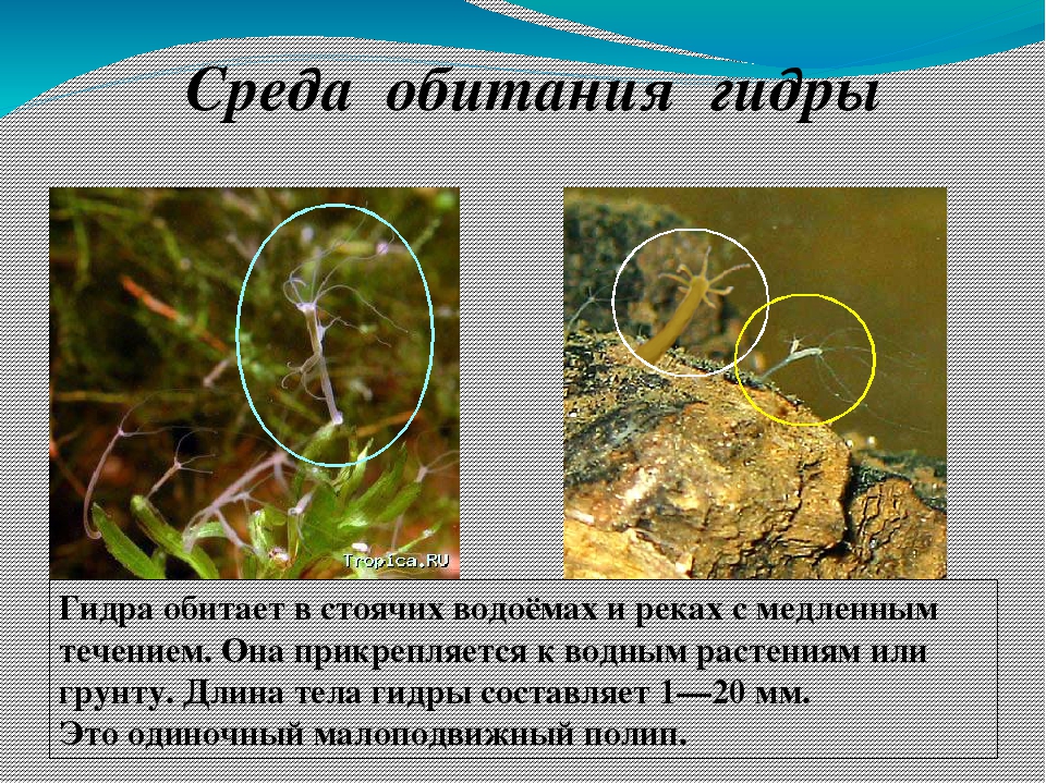 Кракен сайт наркотиков