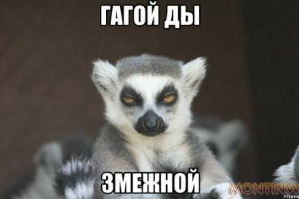 Kraken 2025 ссылка