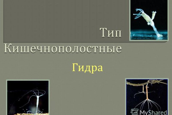 Как зайти на кракен с телефона андроид