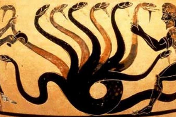 Kraken площадка