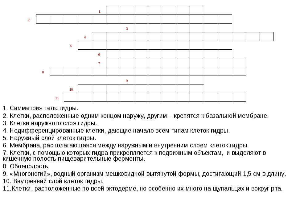 Кракен найдется все
