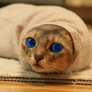 Кракен сайт это